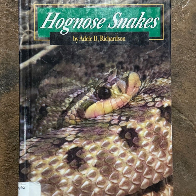 Hognose Snakes