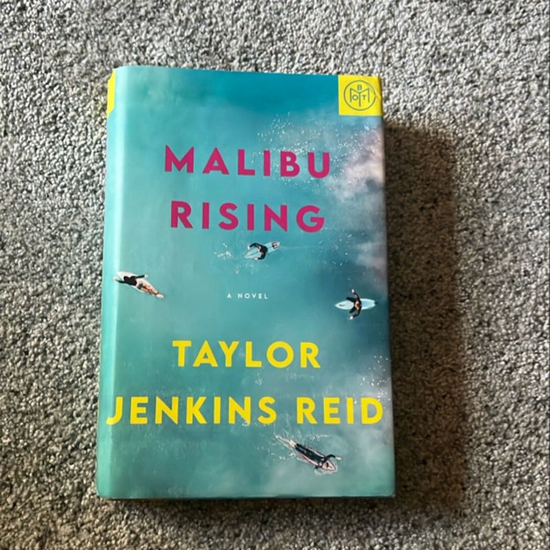 Malibu Rising