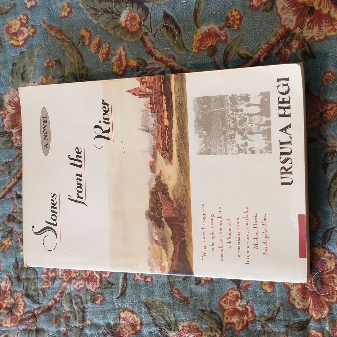 Stones from the River