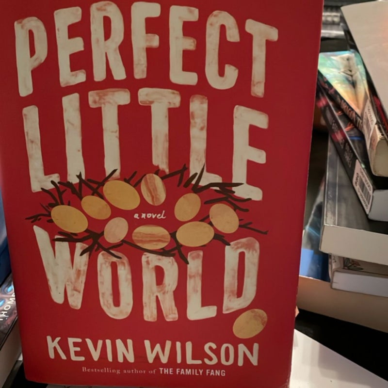 Perfect Little World