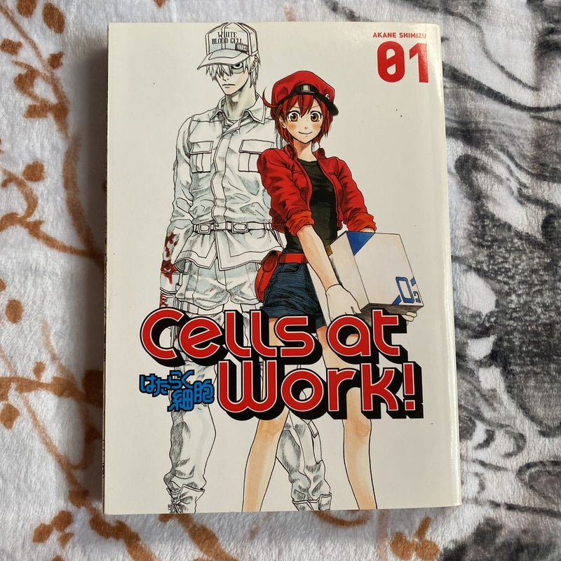  Cells at Work! 1: 9781632363565: Shimizu, Akane: Books