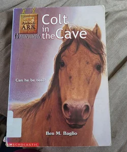 Colt in the Cave