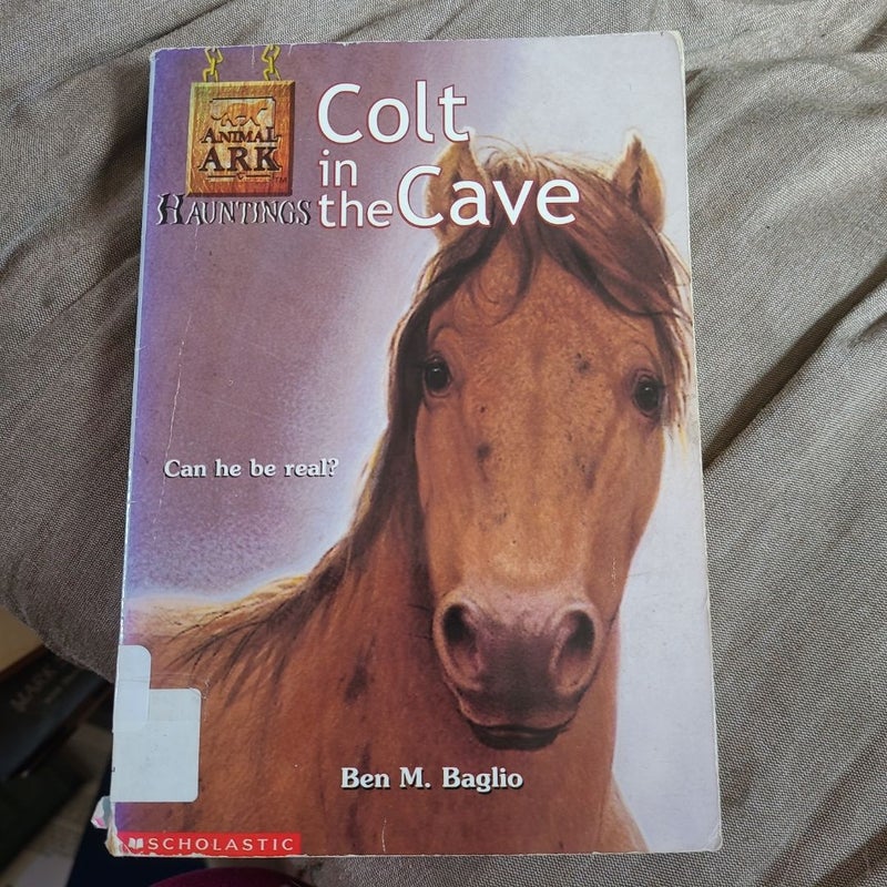 Colt in the Cave