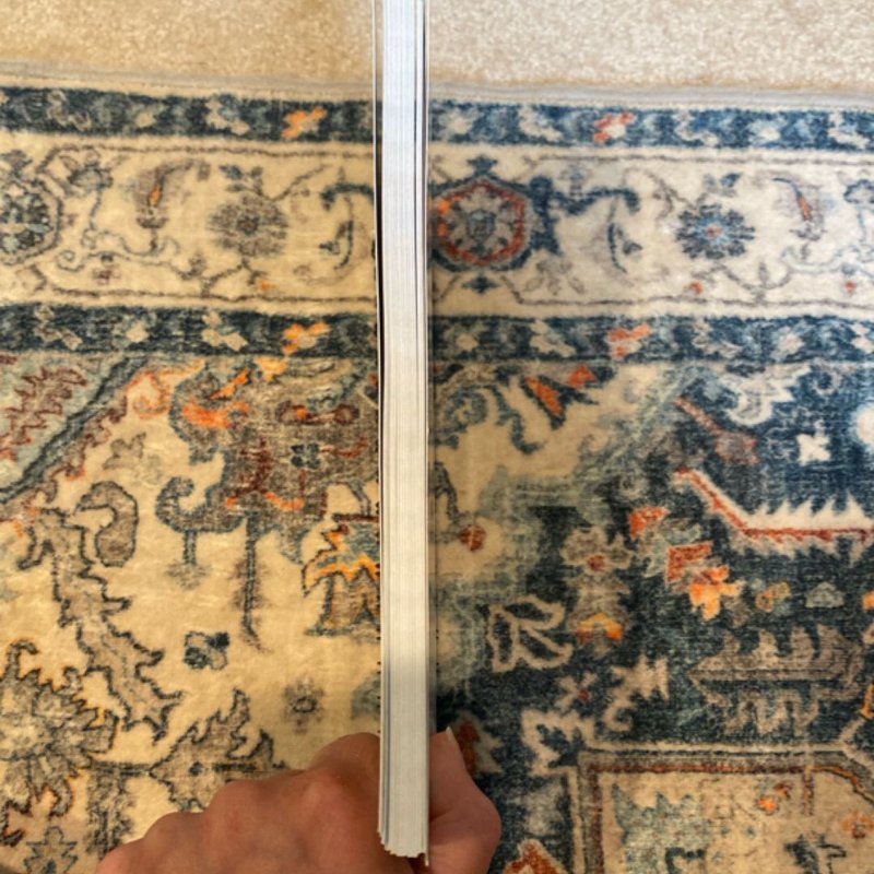 Brain Games - Find the Cat