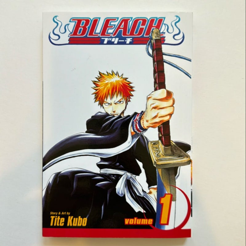 Bleach, Vol. 1