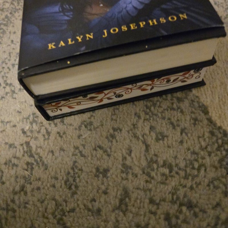 Signed bookish box young adult fantasy this dark descent the storm crow