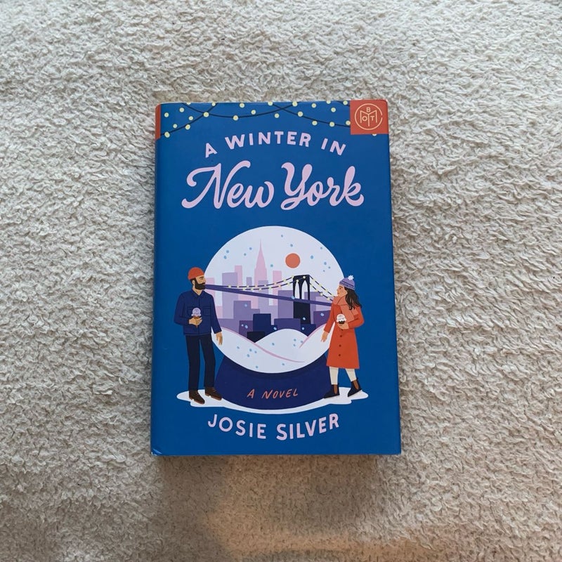 A Winter in New York