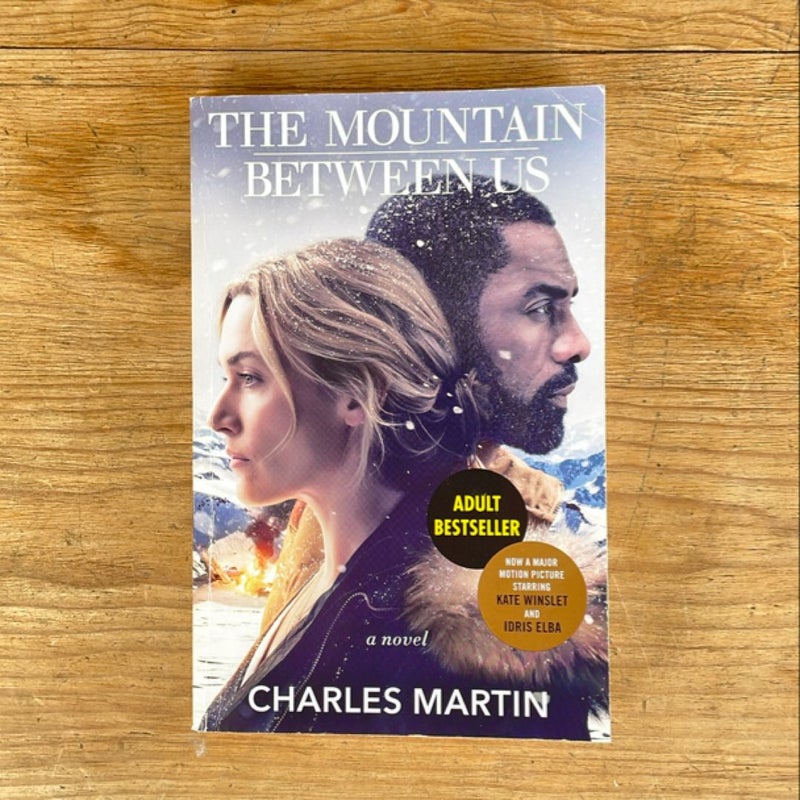 The Mountain Between Us