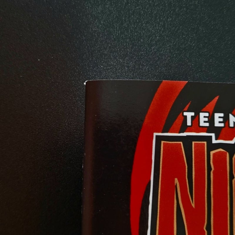Teenage Mutant Ninja Turtles: Nightwatcher #7