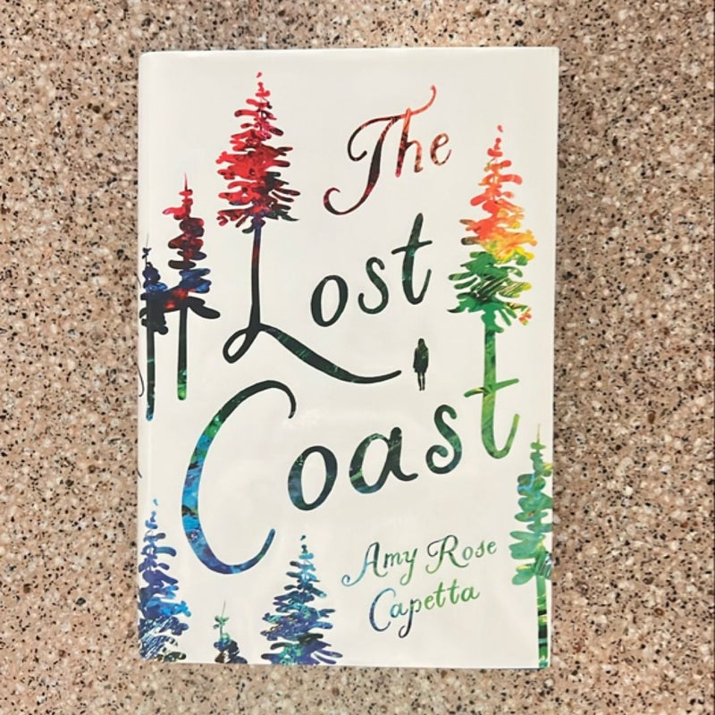 The Lost Coast