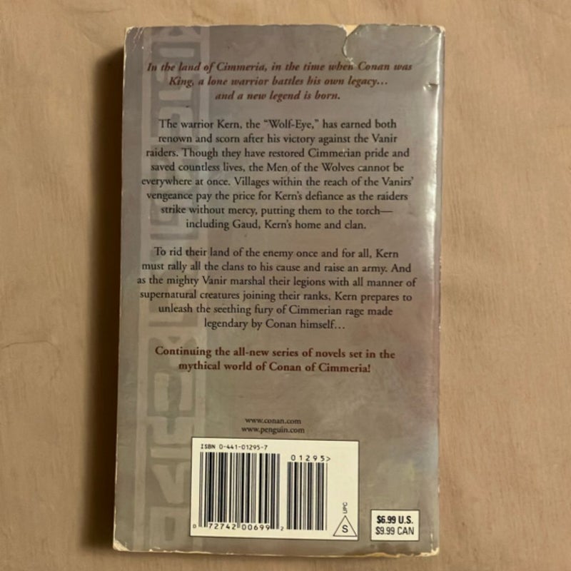 Cimmerian Rage (Age of Conan Hyborian Adventures)