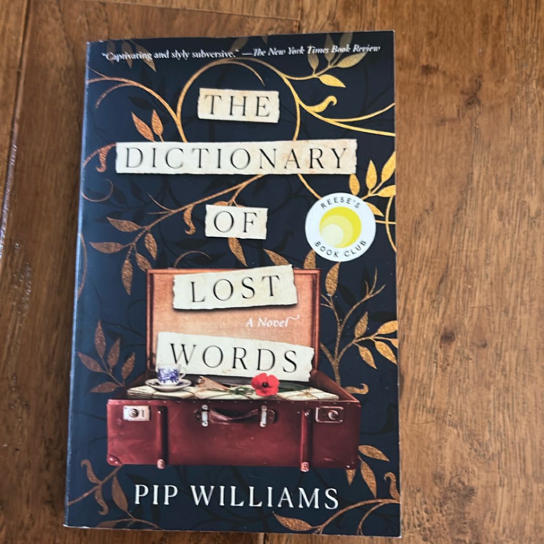 The Dictionary of Lost Words