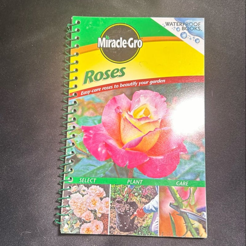 Miracle Gro Roses