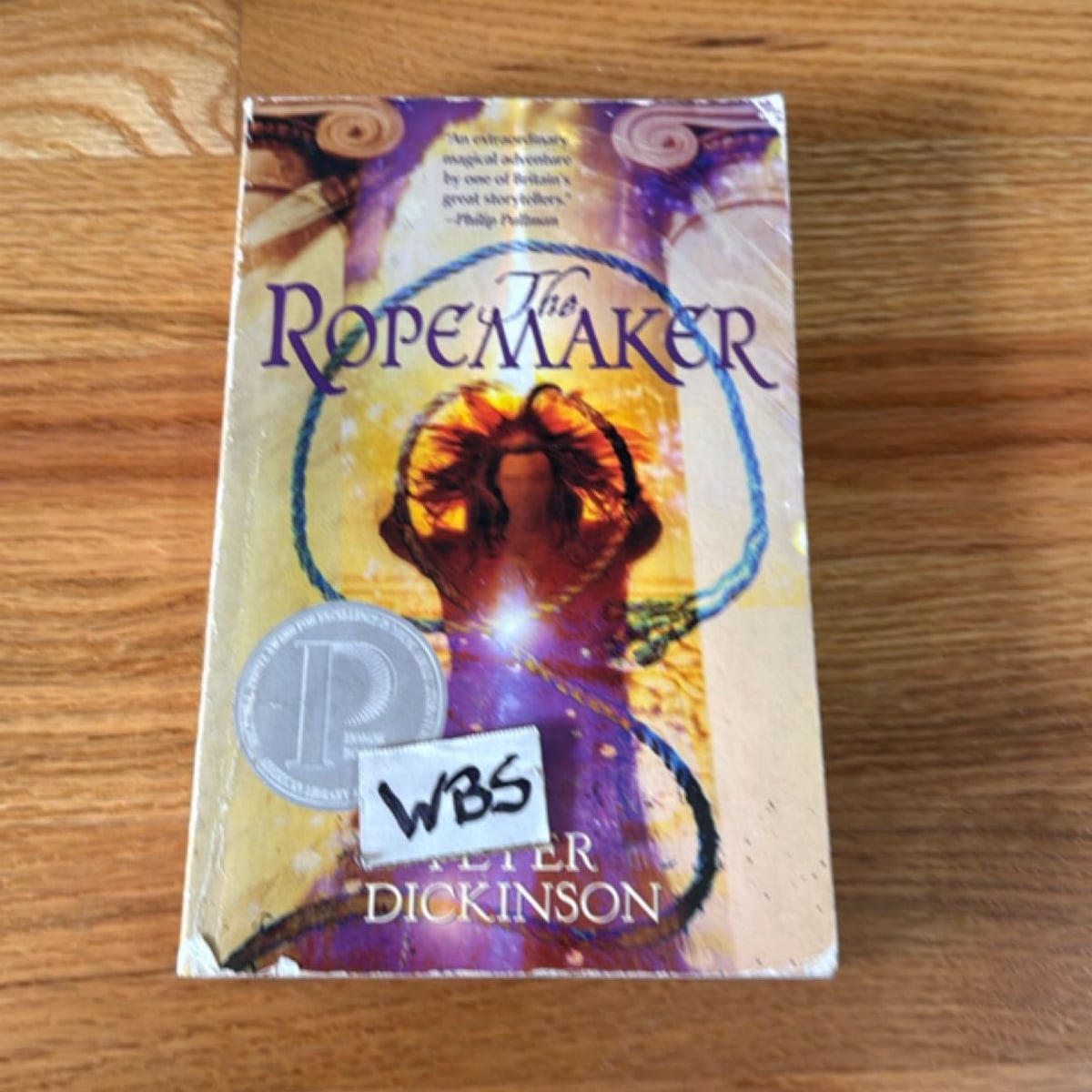 The Ropemaker by Peter Dickinson, Paperback | Pangobooks
