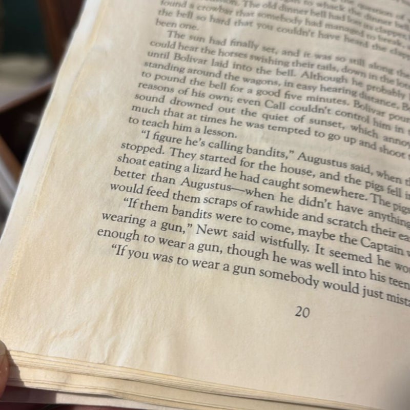 Lonesome Dove