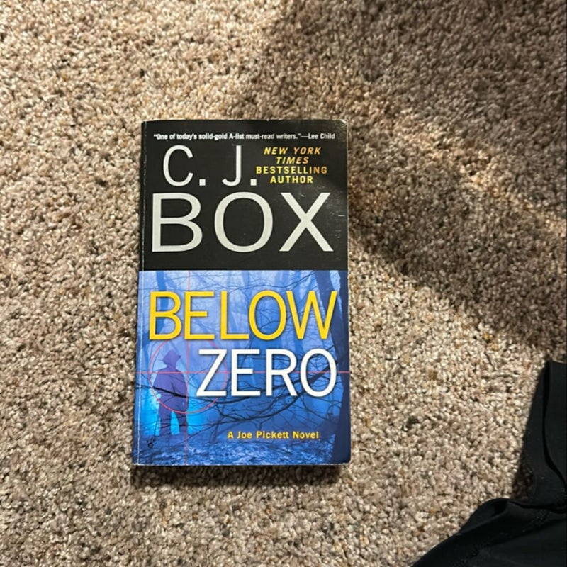 Below Zero