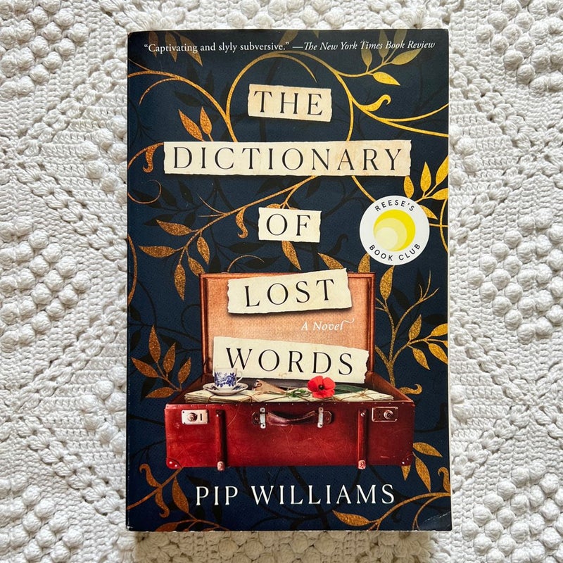 The Dictionary of Lost Words