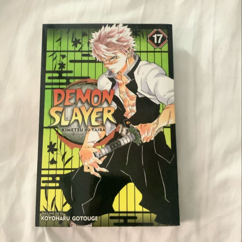 Demon Slayer: Kimetsu No Yaiba, Vol. 17