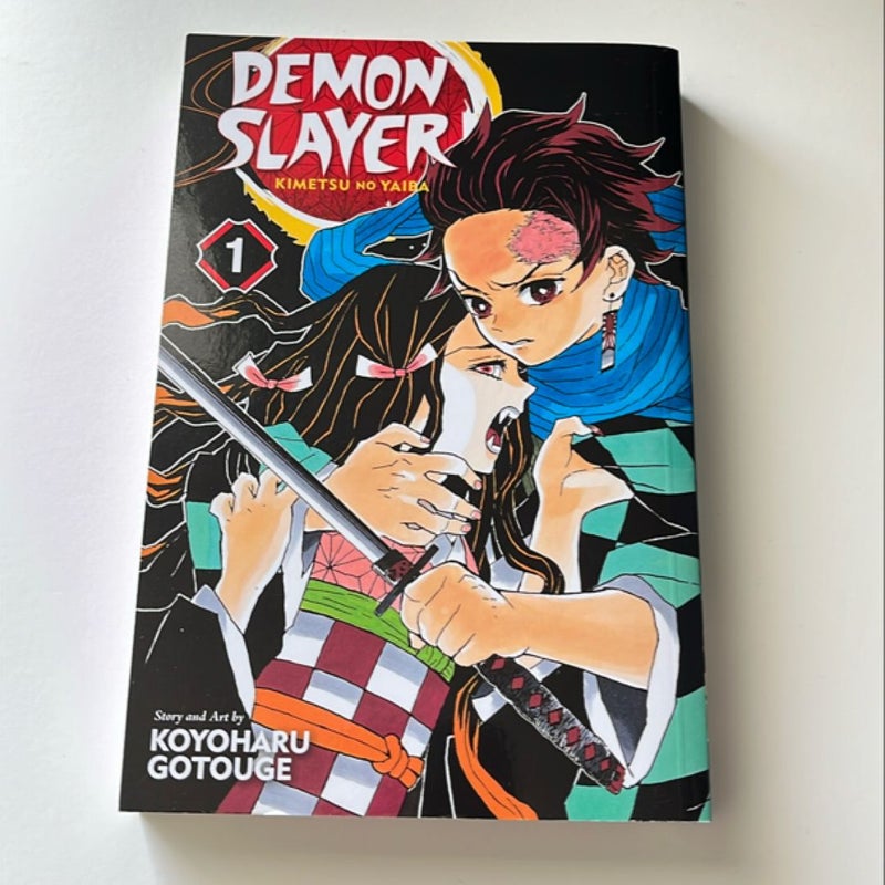 Demon Slayer: Kimetsu No Yaiba, Vol. 1