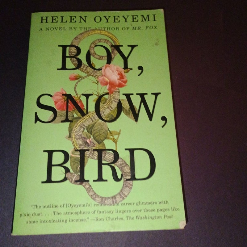 Boy, Snow, Bird