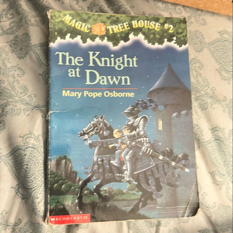 The Knight  at Dawn