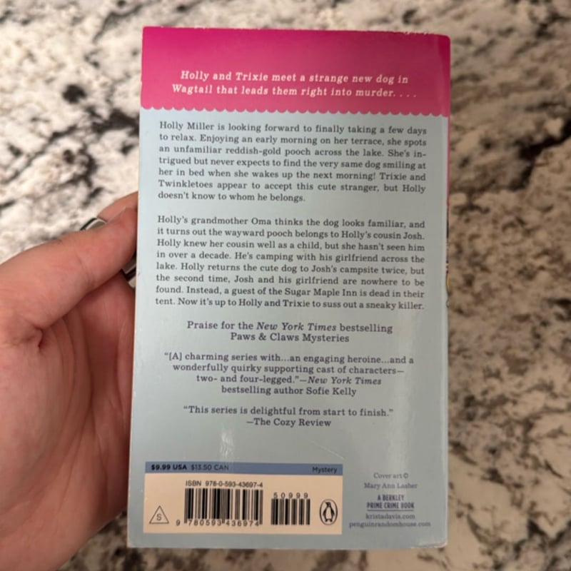 The Dog Across the Lake