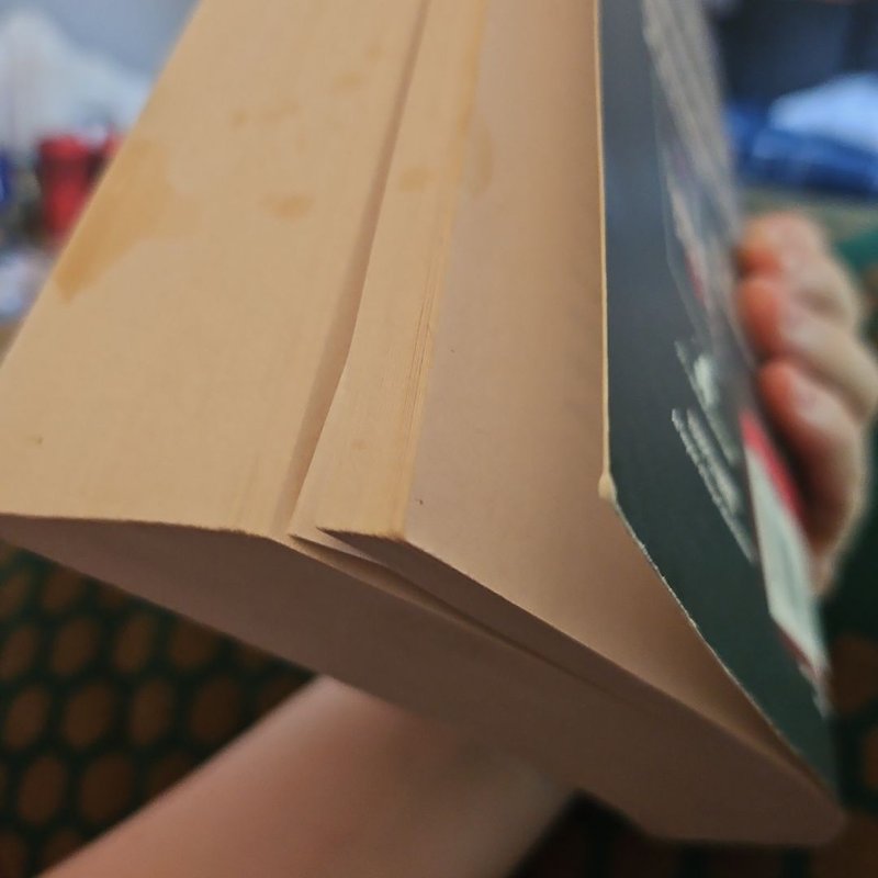 The Vampire Diaries: the Fury and Dark Reunion