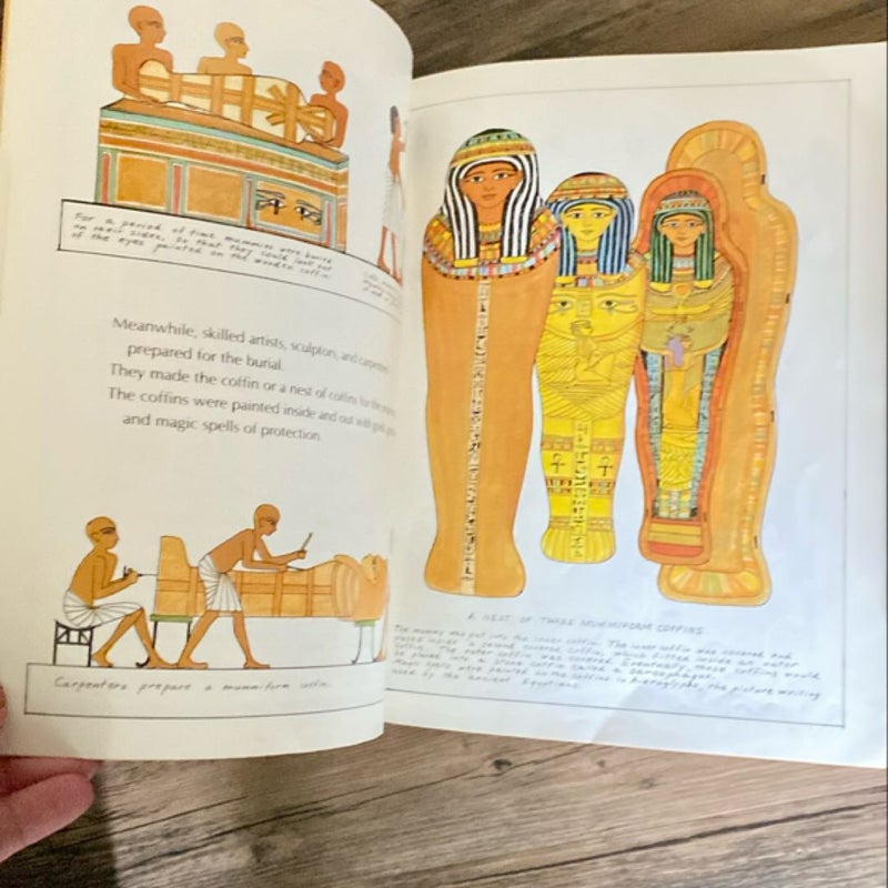 Ancient Egypt BUNDLE