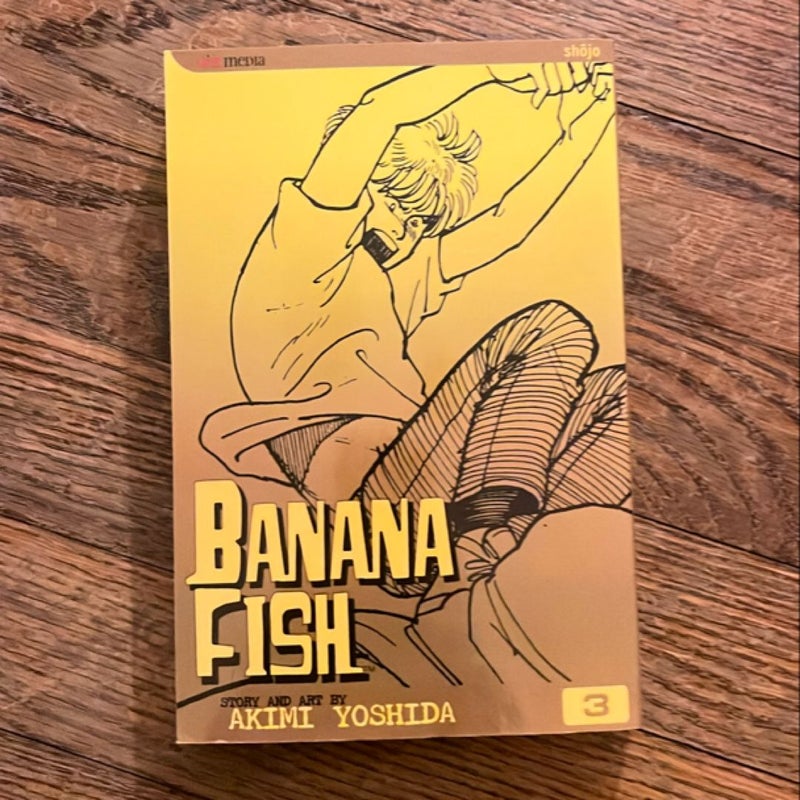 Banana Fish, Vol. 3