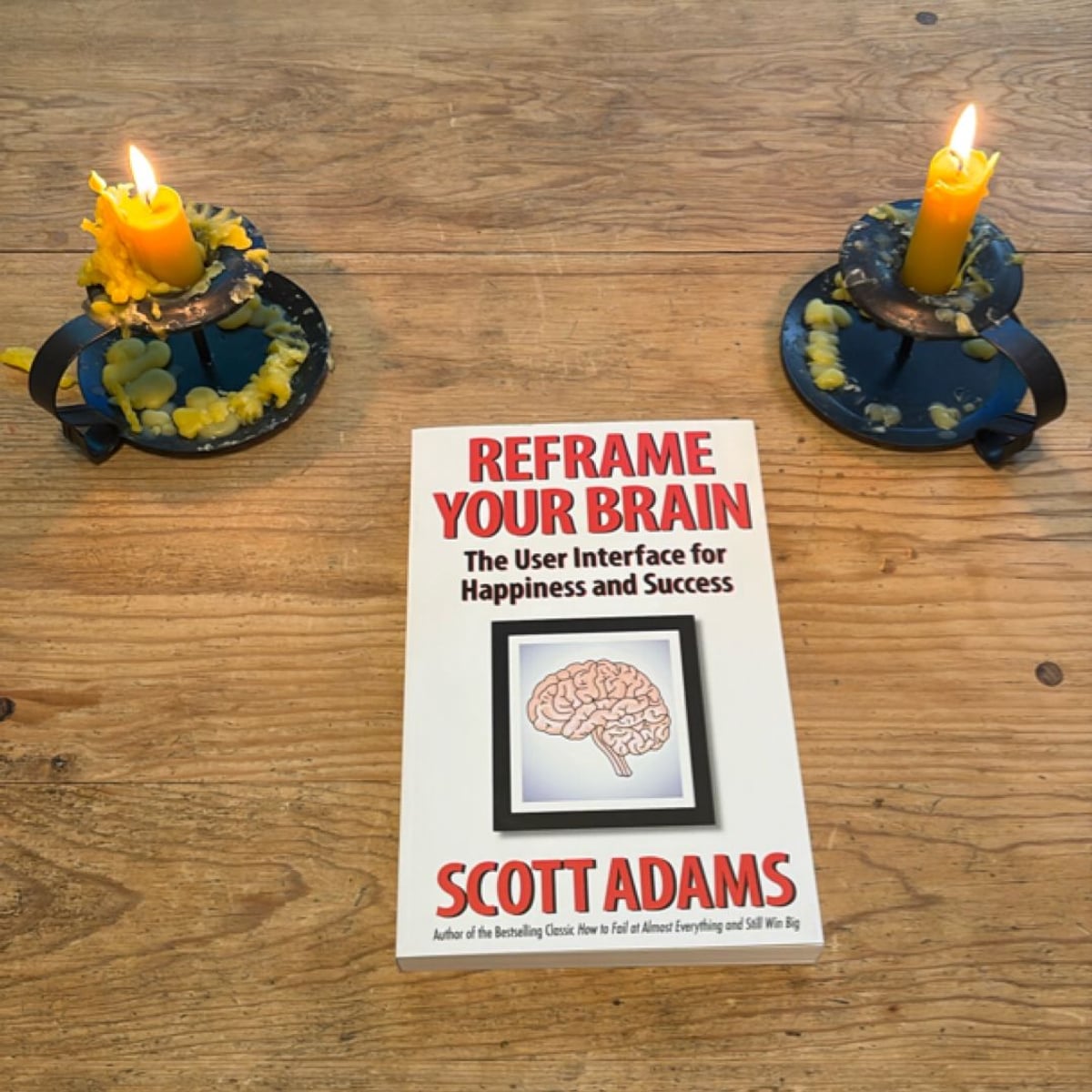 Reframe Your Brain By Scott Adams