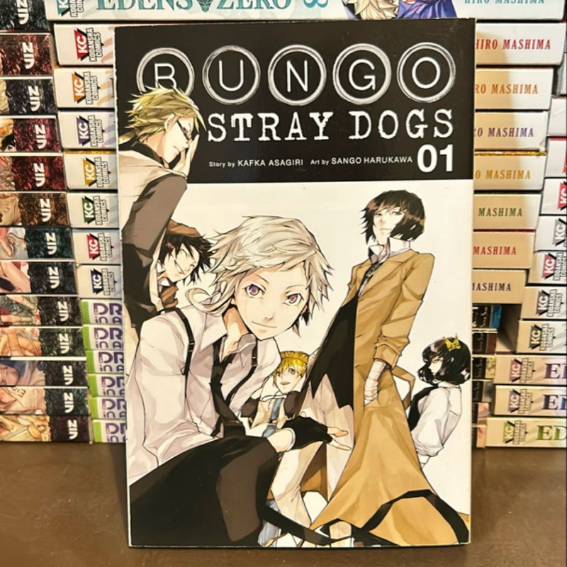 Bungo Stray Dogs, Vol. 1