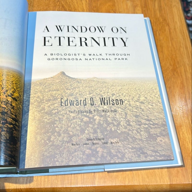 1st Ed 1st Print * A Window on Eternity