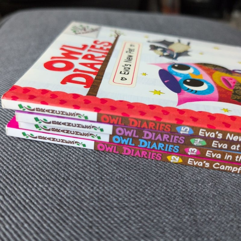 Eva at the Beach: a Branches Book (Owl Diaries #14)