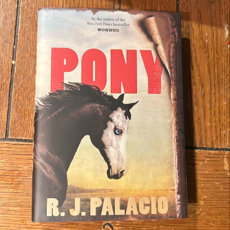 Pony