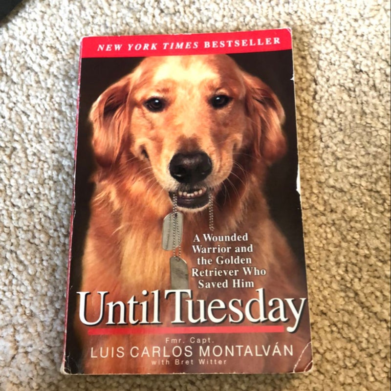 Until Tuesday