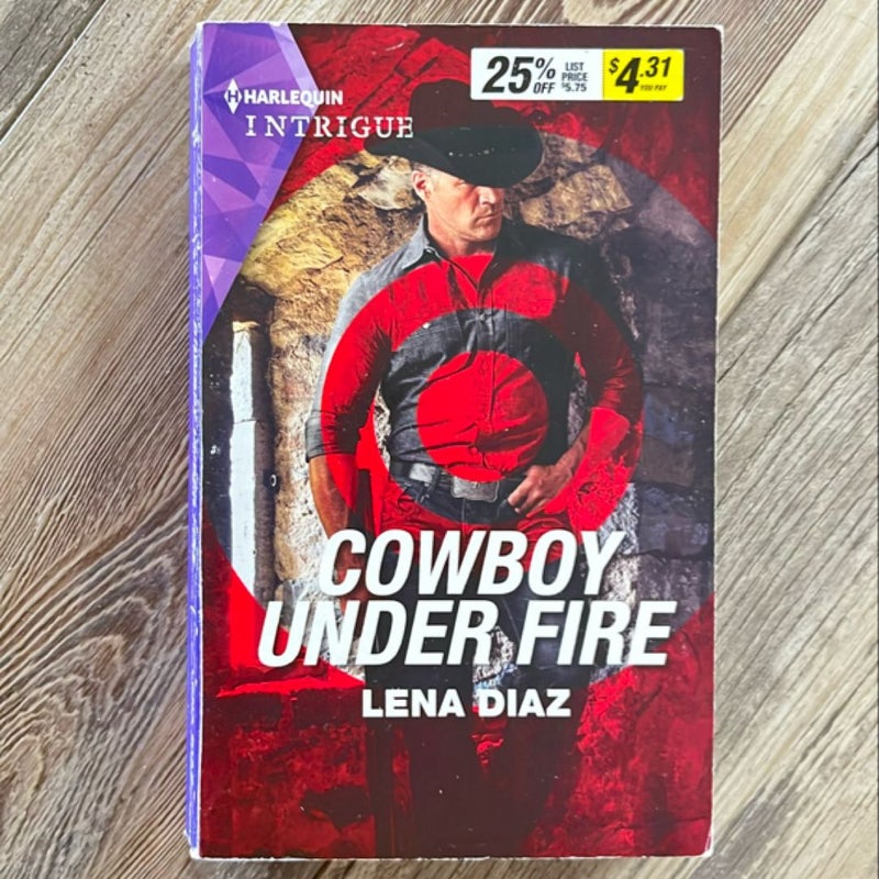 Collection of Cowboy Romance Novels - 6 in All