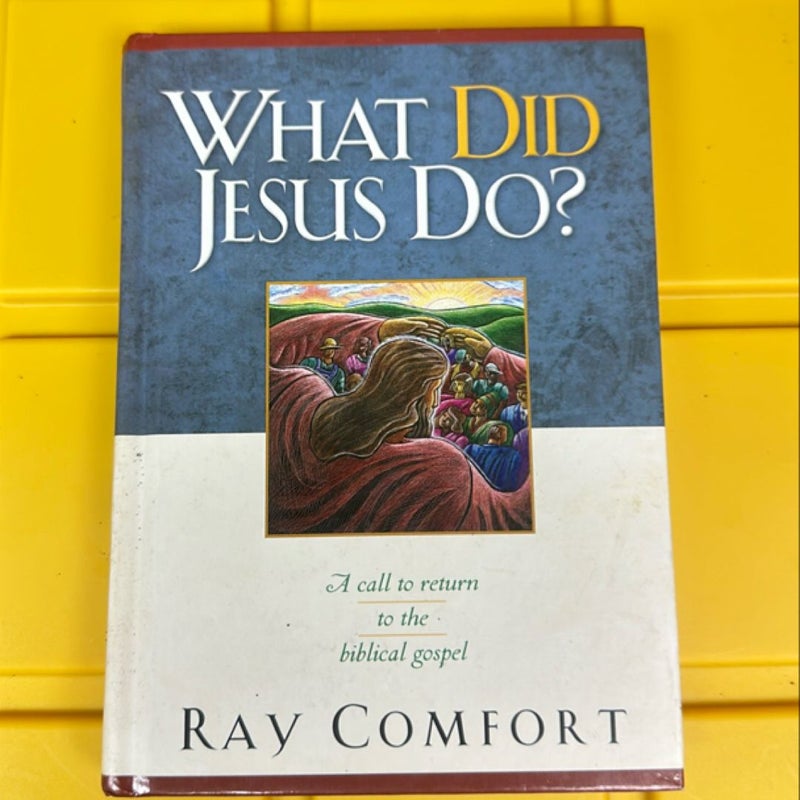 What Did Jesus Do?