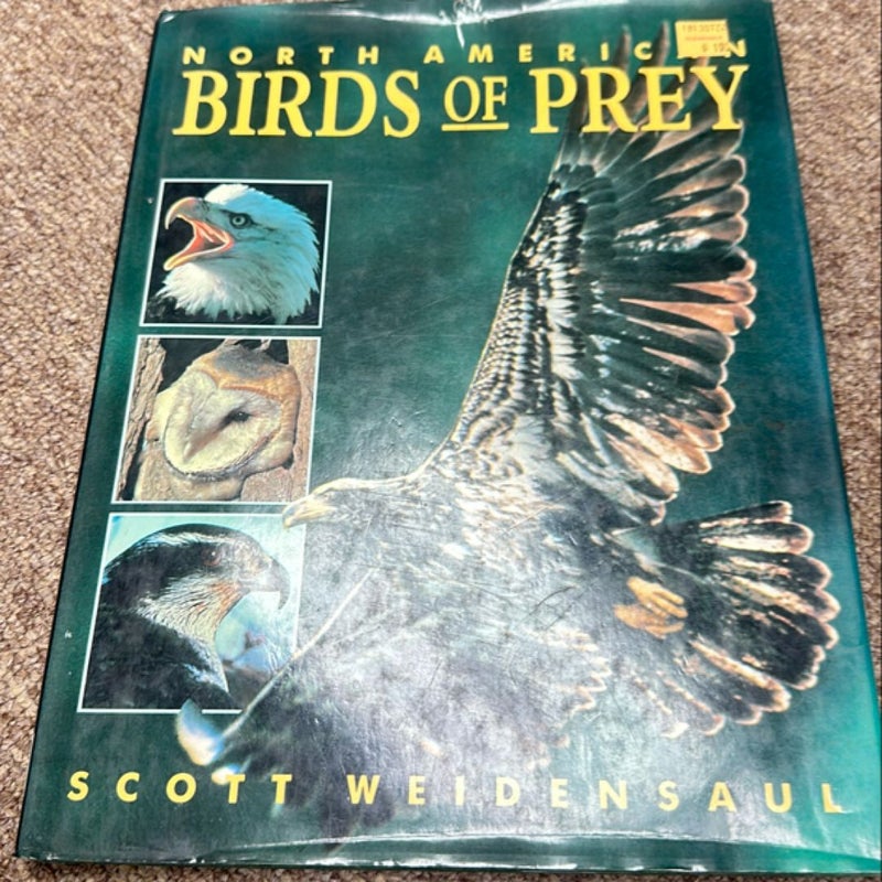 North American Birds of Prey