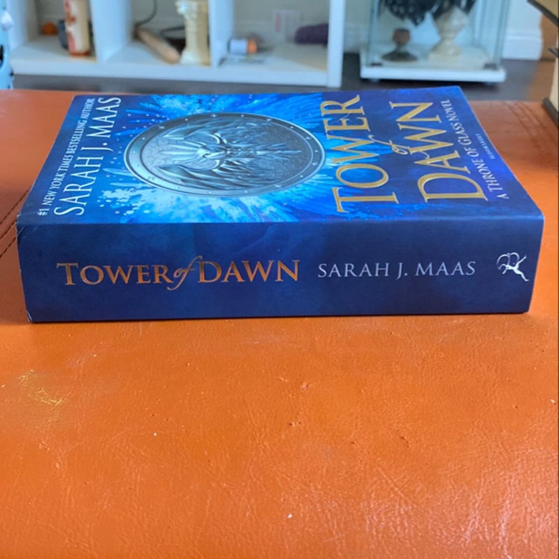 Tower of Dawn