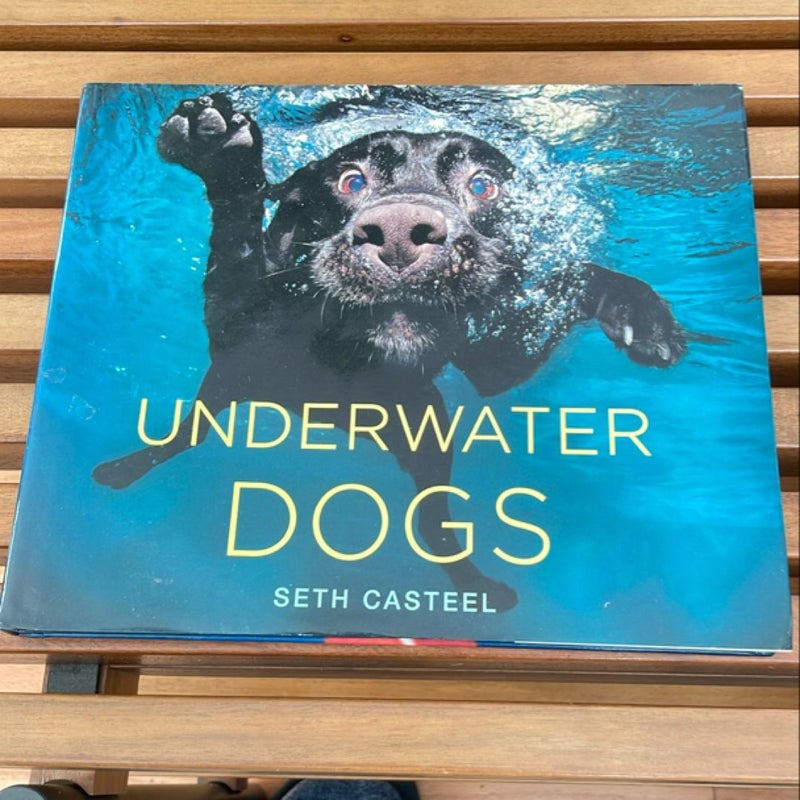 Underwater Dogs