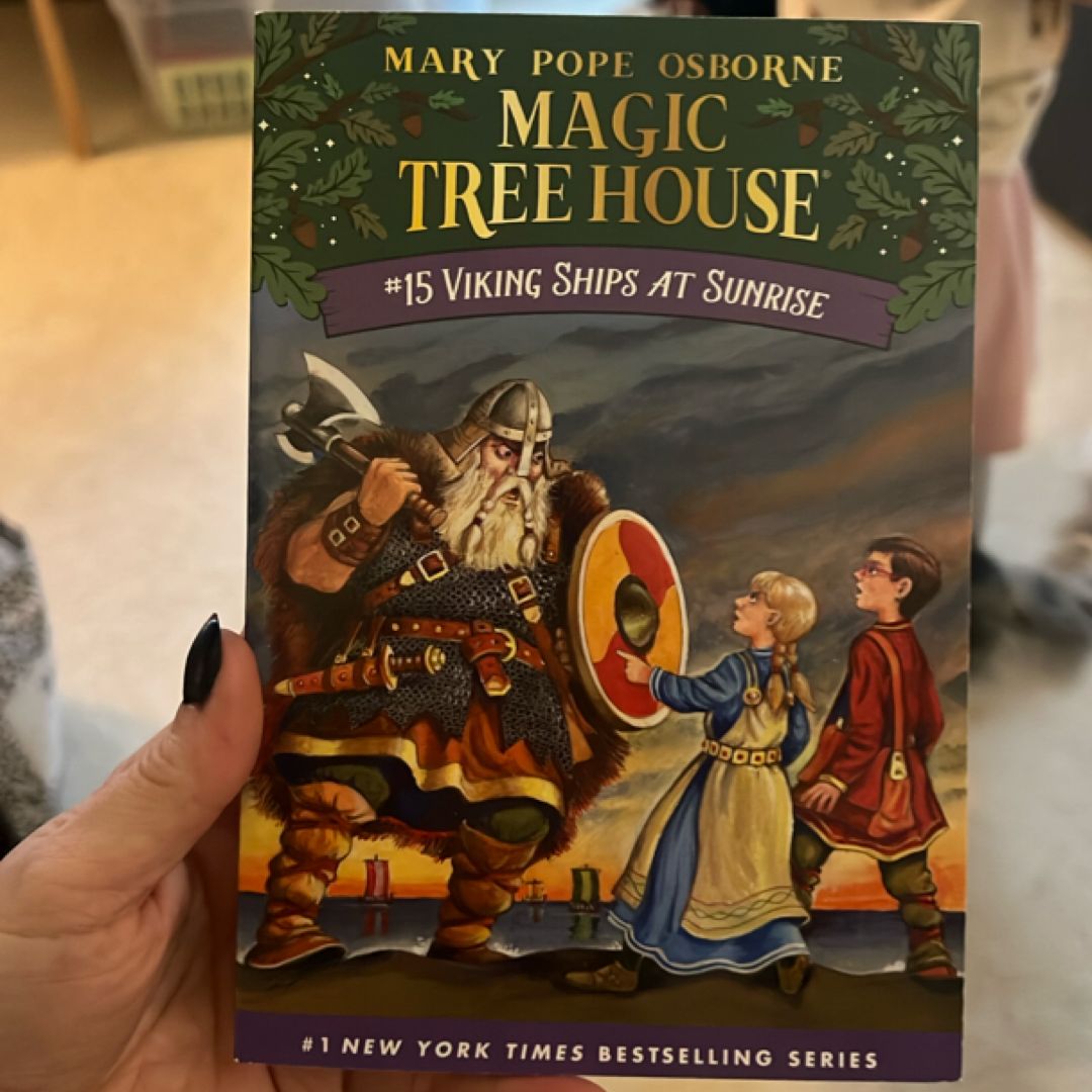 Viking Ships at Sunrise