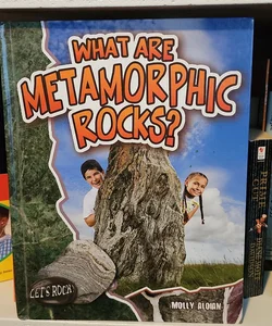 What Are Metamorphic Rocks? *