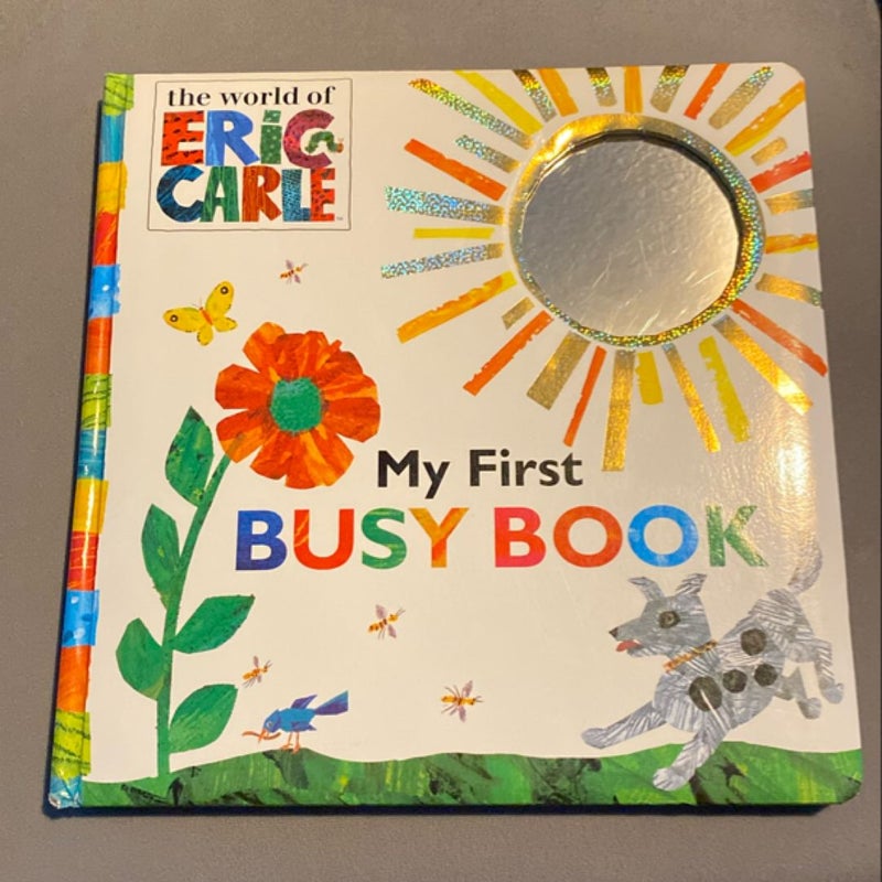 My First Busy Book