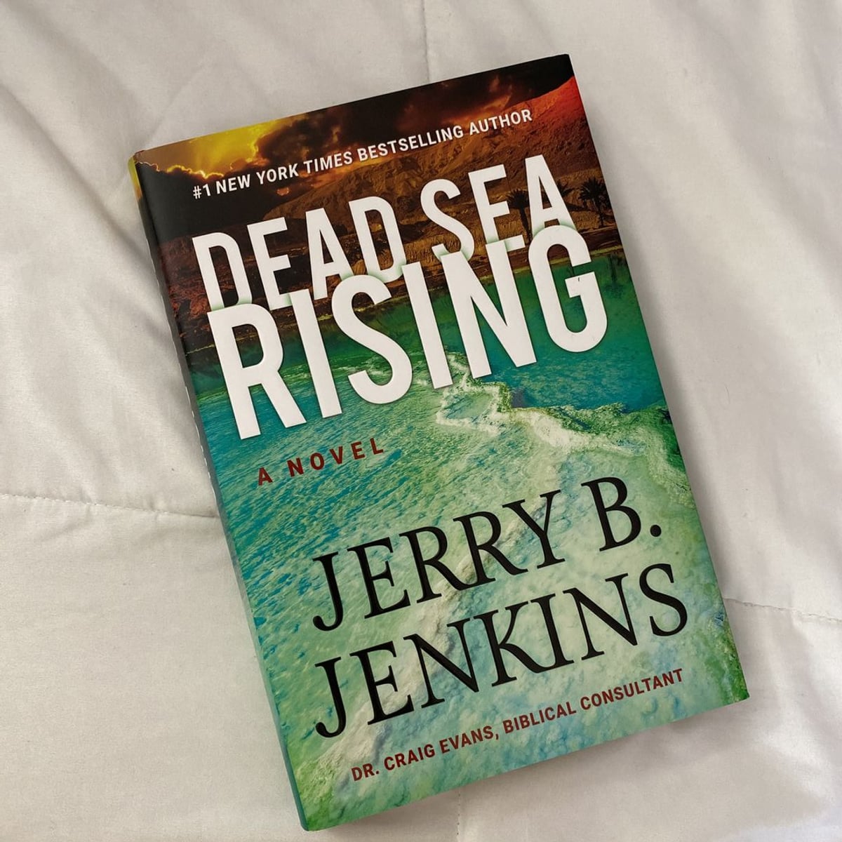 Dead Sea Rising by Jerry B. Jenkins