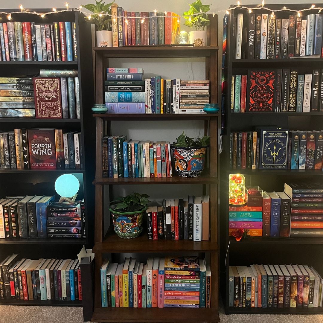 Book Dragon’s Library