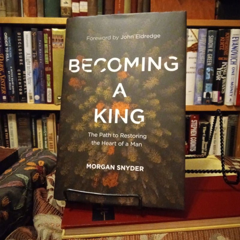 Becoming a king by morgan snyder hardcover pangobooks