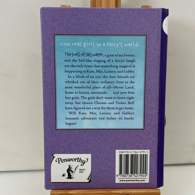 Never Girls #1: in a Blink (Disney: the Never Girls)