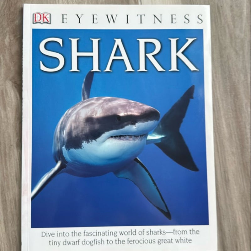 Eyewitness Shark