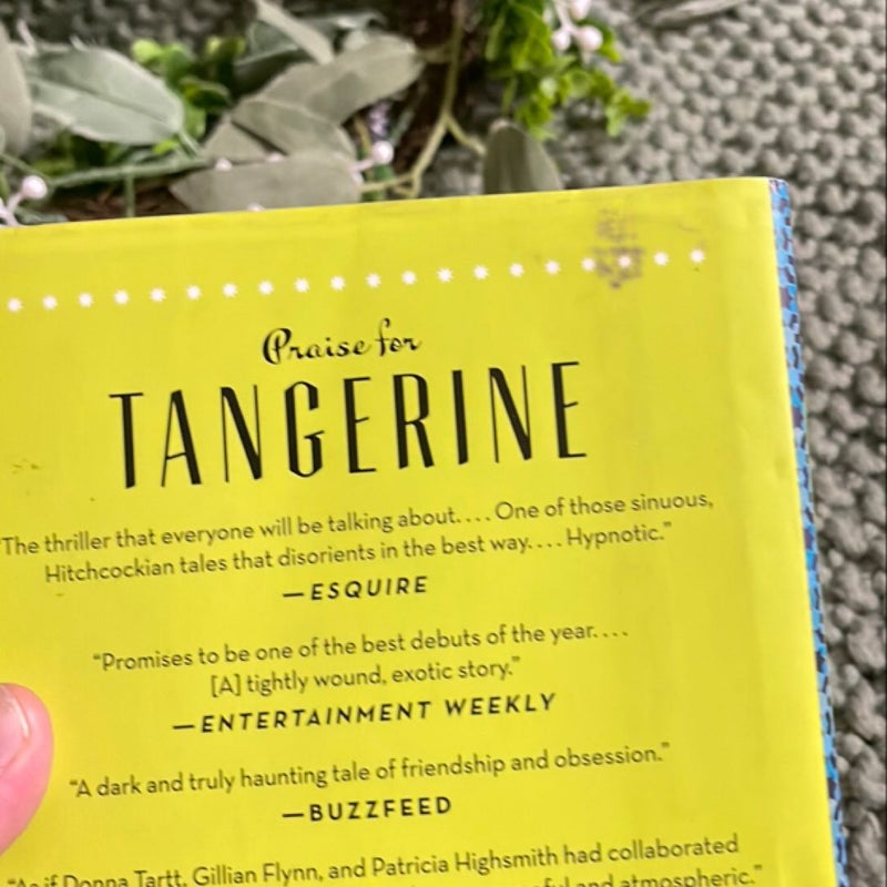 Tangerine (SIGNED BY AUTHOR ✍️)