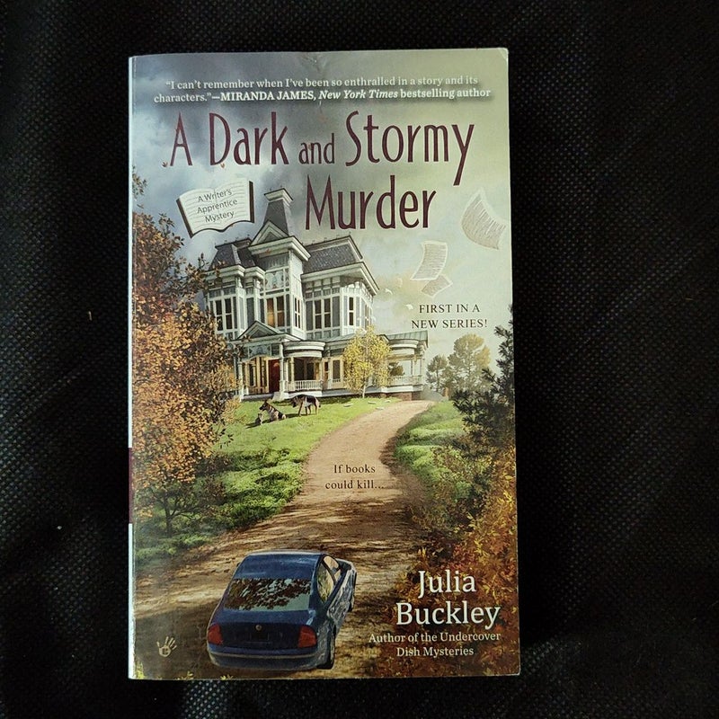 A Dark and Stormy Murder